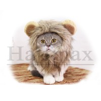 Pet halloween Funny Pet Lion Mane Wig Cute Washable Plush Cat Dog Hat